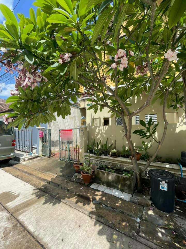 HNRSALE บ้านแมกไม้ 00